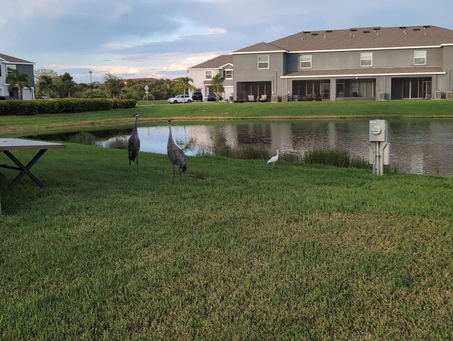 Building Photo - Fresh new build ~ 3 bed/ 2.5 bath Townhous...