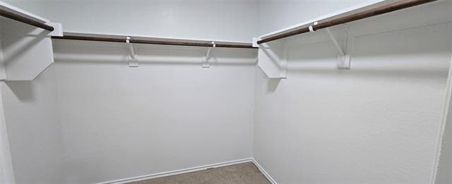 Building Photo - 319 Elam Dr