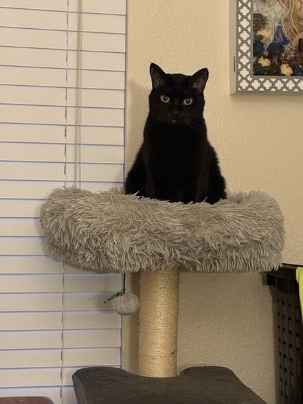 Building Photo - 8653 Danridge Dr