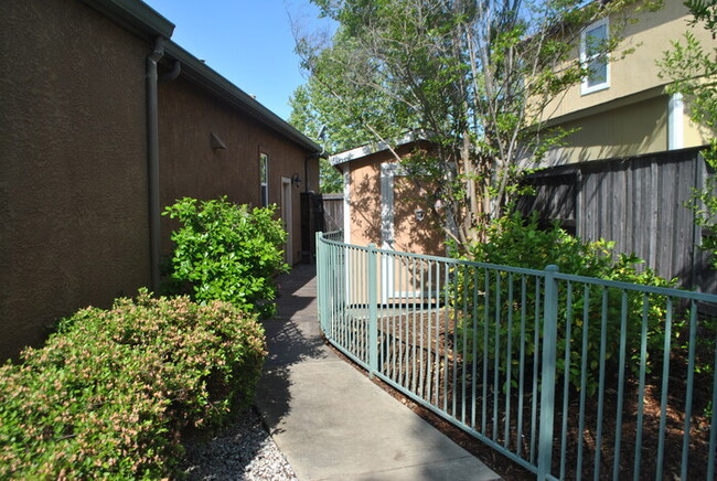 Building Photo - Gorgeous 4 Bedroom Home in the Stonebriar ...