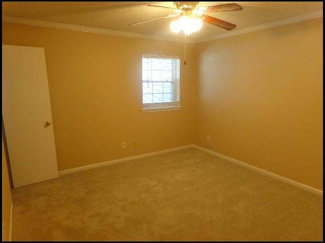 Building Photo - 15 Lillie St