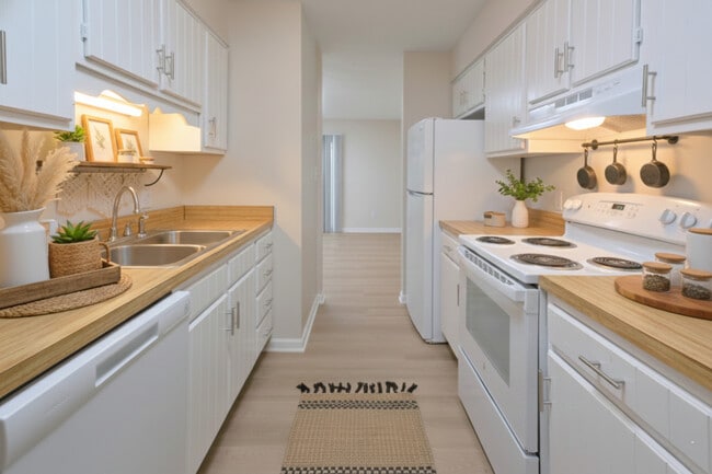 Building Photo - Collins Park Apartments