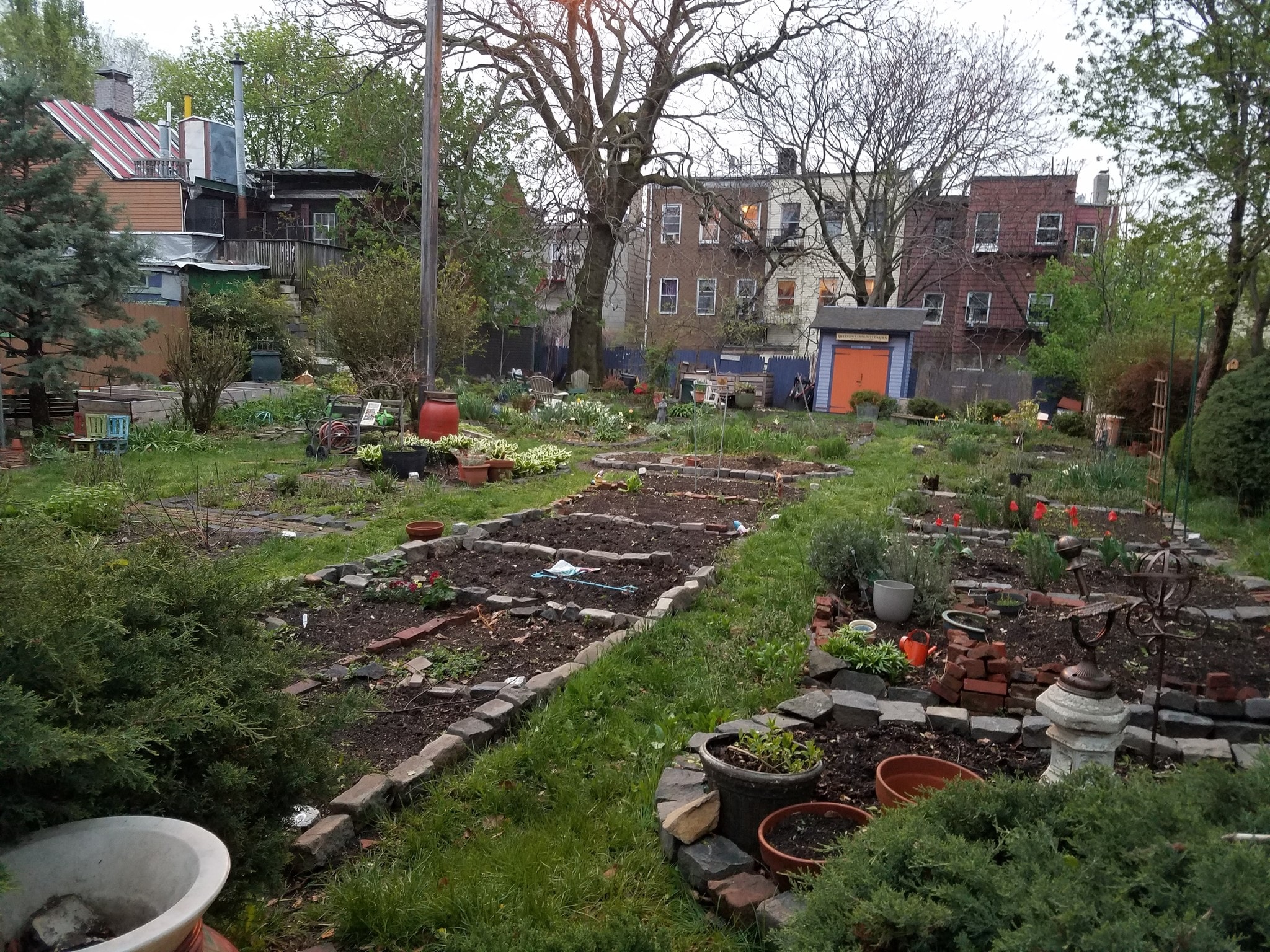 community garden - 165 New York Ave