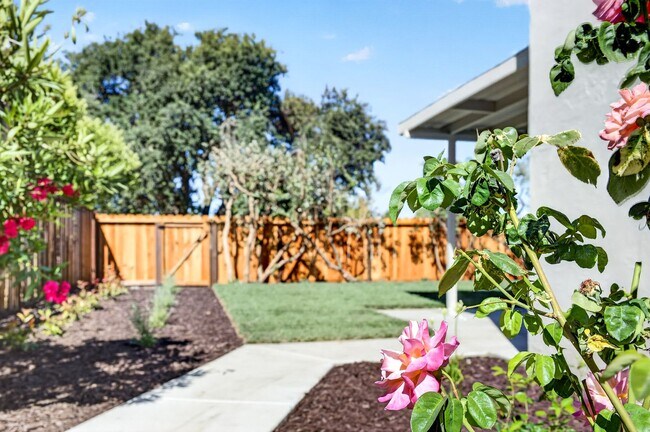Building Photo - Northgate Beauty with Newly Landscaped Backyard, Top-Rated Schools & Prime Walnut Creek Location!