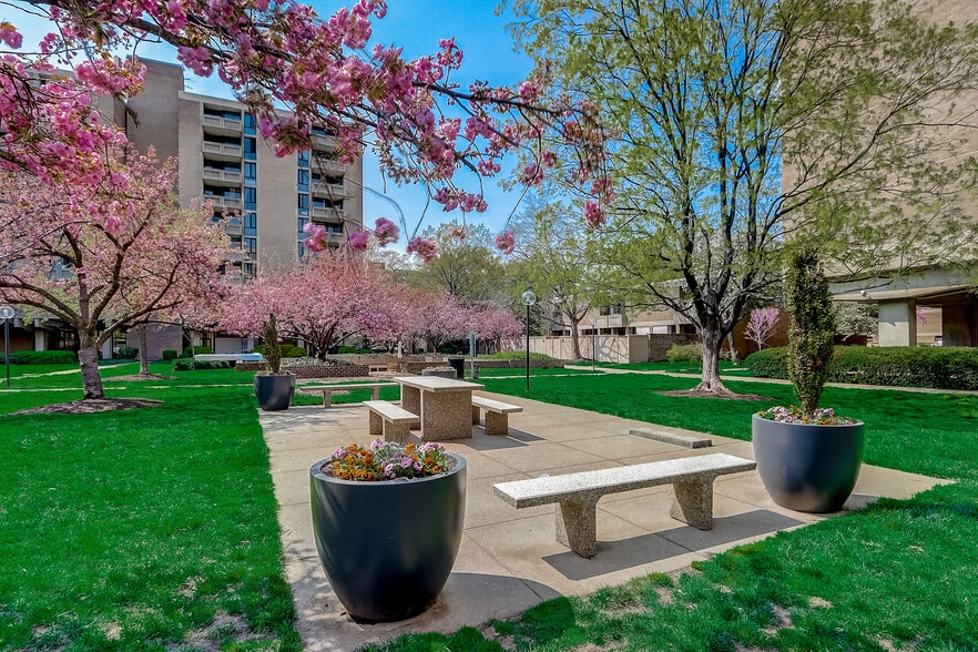 Lovely grounds, garden with cherry trees. - 240 M St SW