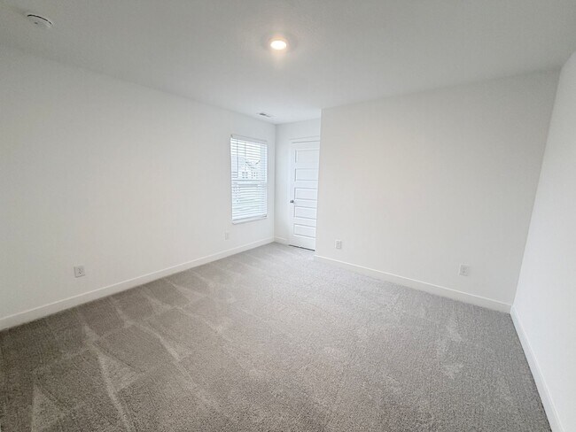 Building Photo - 891 Norfolk Ln