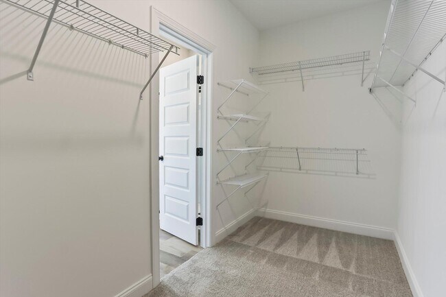 Building Photo - 3327 Basil Ln