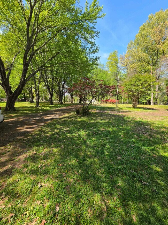 Building Photo - 4580 Shadowlawn Rd