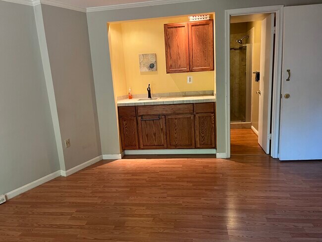 Wet Bar in basement - 11251 Silentwood Ln