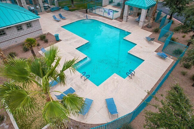 Building Photo - Gorgeous, recently renovated Green Valley ...
