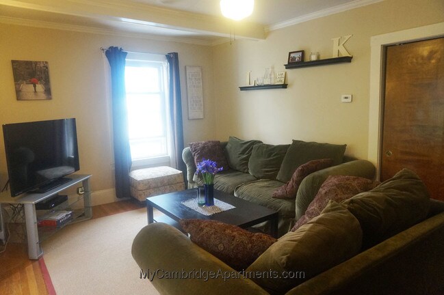 Primary Photo - 178 Richdale Ave