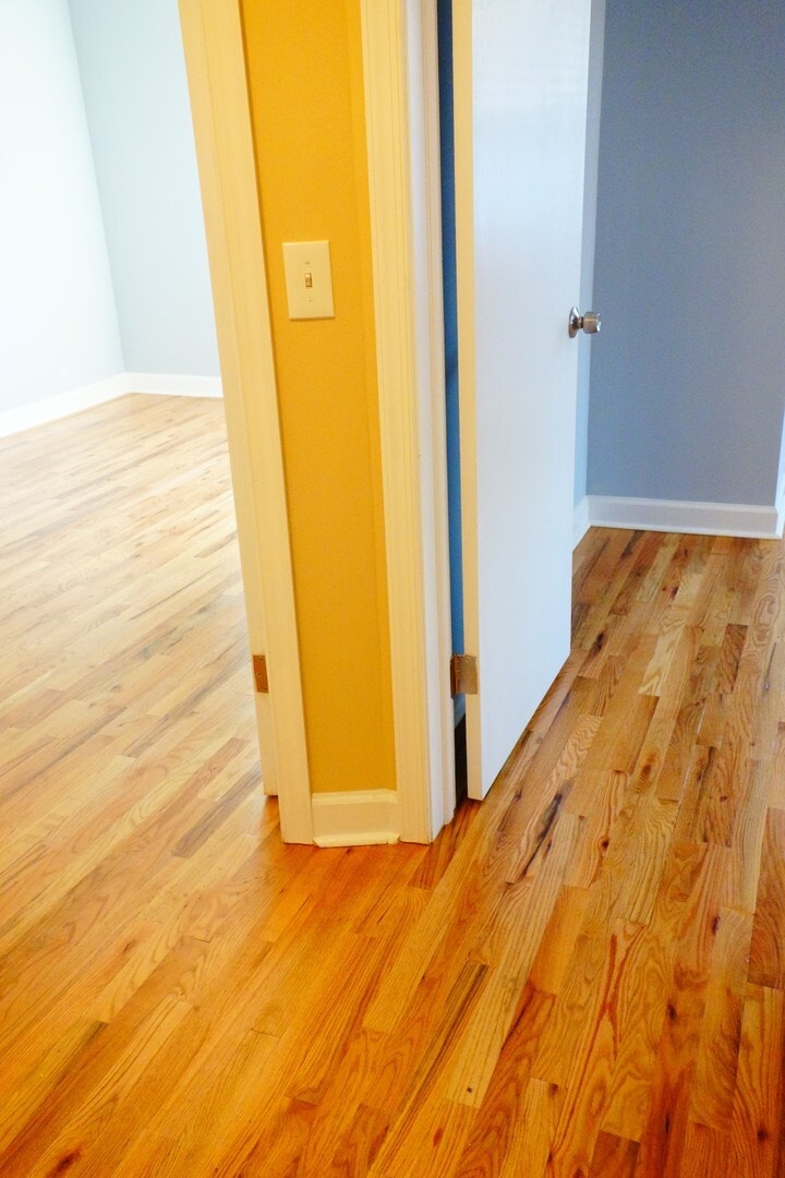 Building Photo - 311 Domer Ave