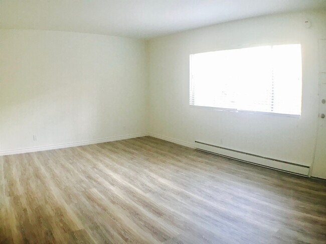 Building Photo - Large Studio with a full kitchen and Bath One Parking space included