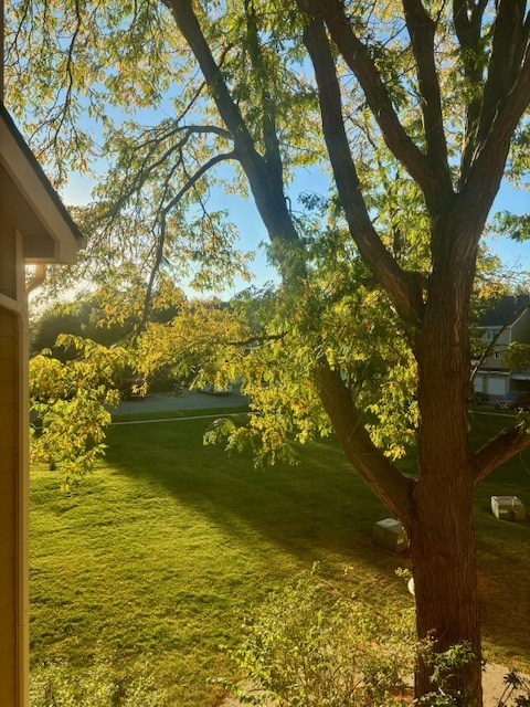 View from Master Bedroom - 5958 Gunbarrel Ave