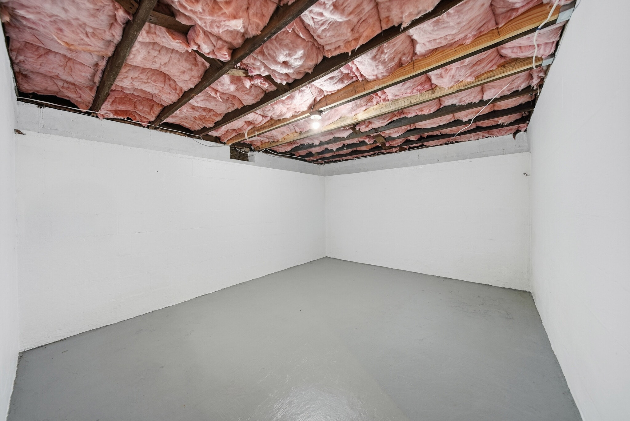 Basement - 538 Rowe Dr