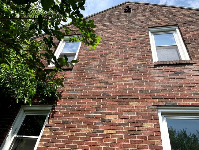 Building Photo - 1015 Willow Dr