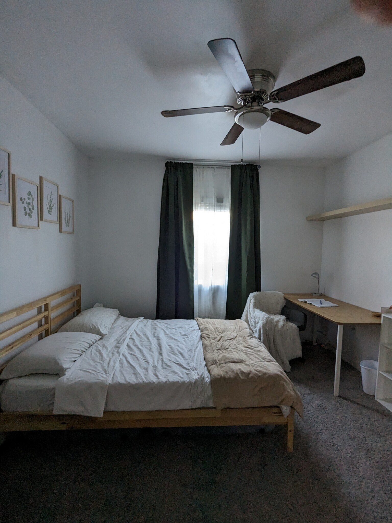Willow - 1629 N Laurel Ave