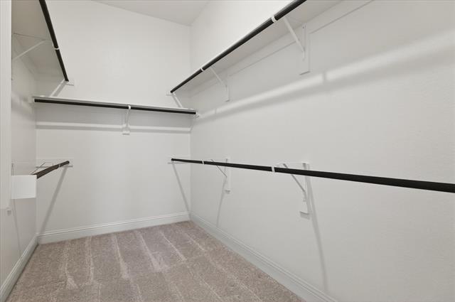 Building Photo - 4825 Secluded Ct