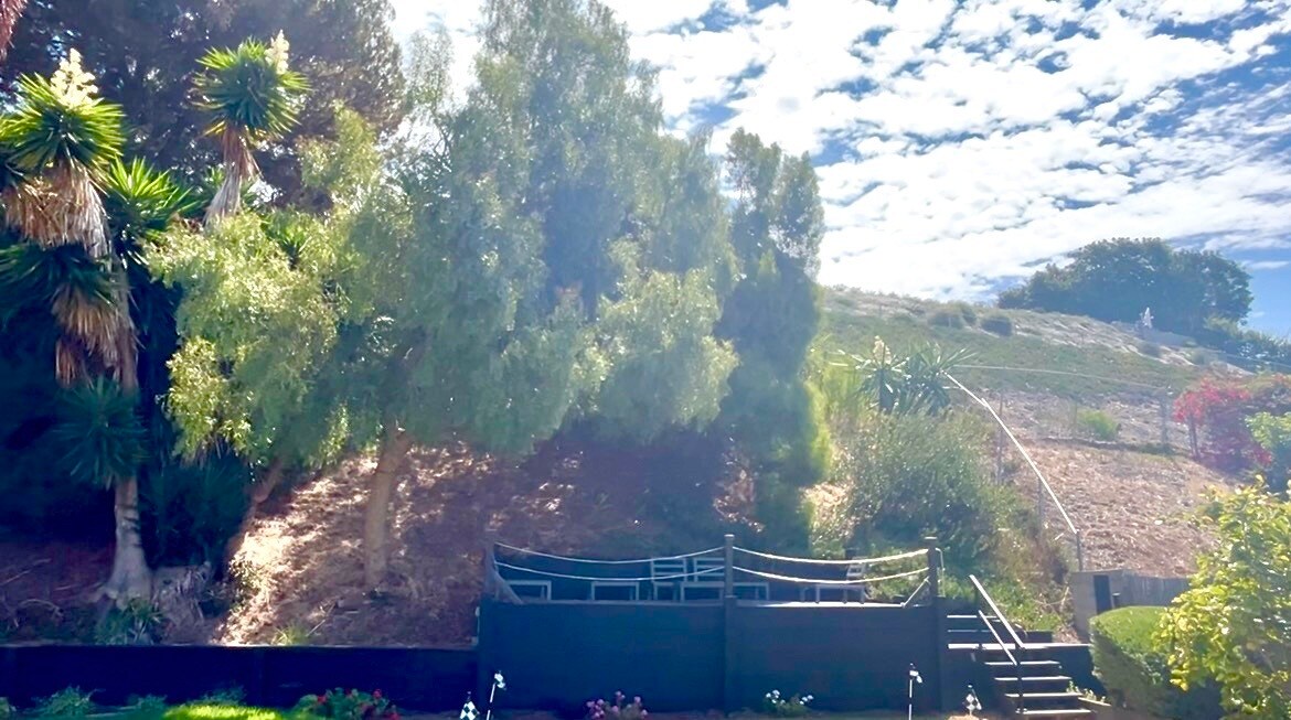 Building Photo - 32254 Sea Raven Dr