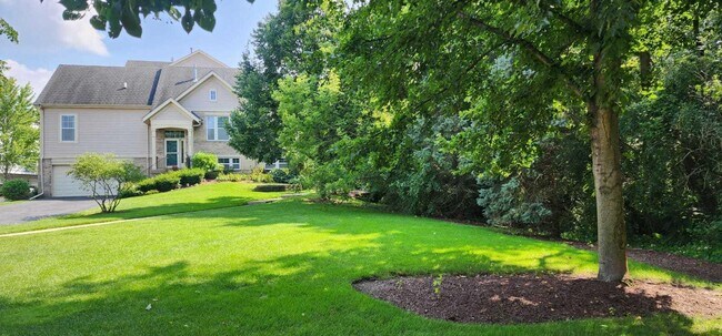 Building Photo - 982 Indigo Ct