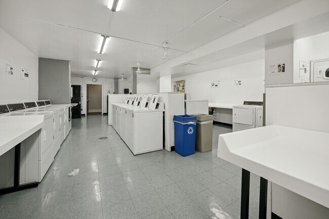 Building Photo - Walk to Georgetown! One Month Concession! Professionally Managed & Recently Renovated // 1 Bedroo...