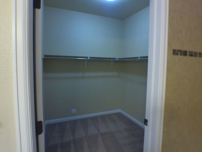 Walk-in closet - 4915 Hahns Peak Dr