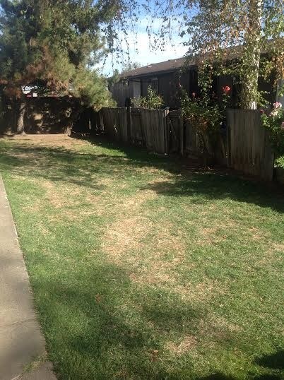 Building Photo - 244 W Clark St