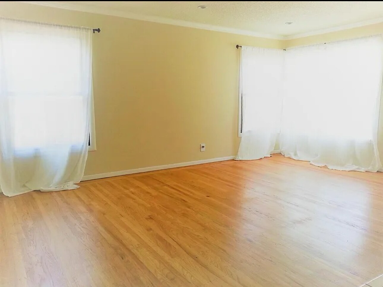 Building Photo - 415 Wisteria Dr