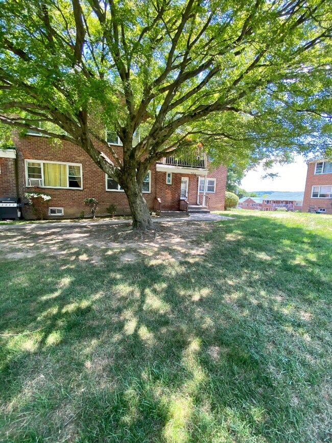 Building Photo - 157 White Plains Rd