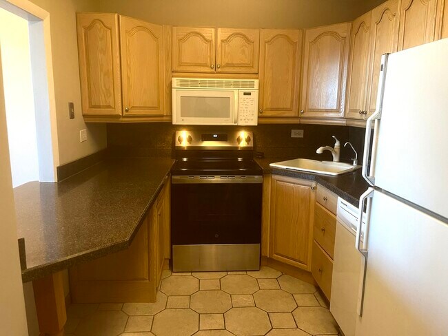 Building Photo - 1560 N Sandburg Terrace