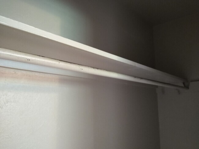 Building Photo - Osceola Duplex