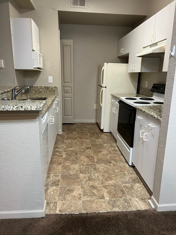 17114 Carrington Park Dr 17114 Carrington Park Dr Tampa FL 33647