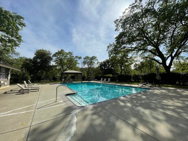 Building Photo - 3113 Lippizaner Ln