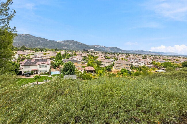 Building Photo - 46145 Via La Colorada