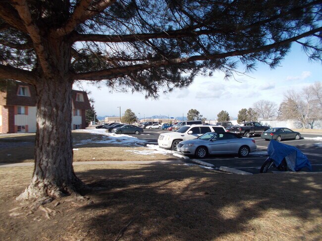 Primary Photo - 10211 Ura Ln