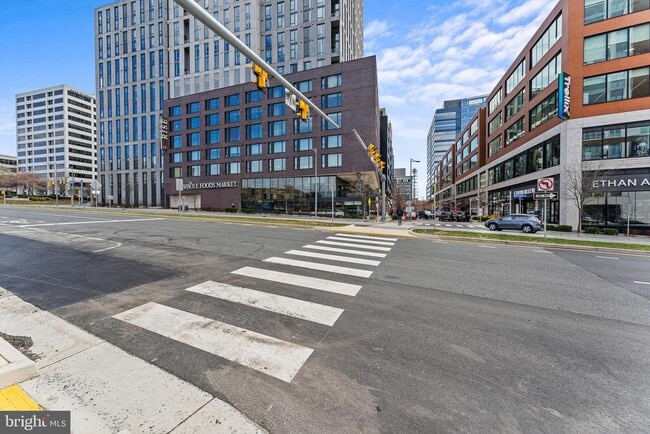 Building Photo - 1650 Silver Hill Dr