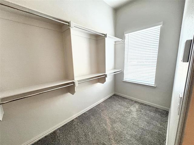 Building Photo - 4517 Bishop St