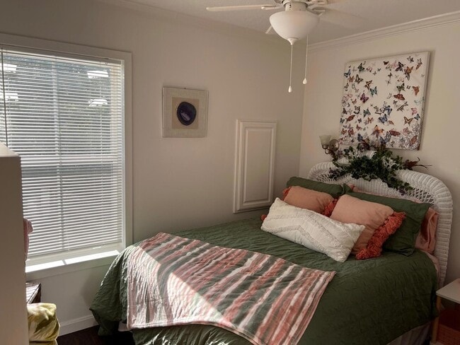 Building Photo - 53 Rosin Cup Cir