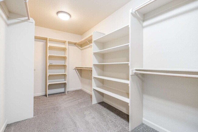 Building Photo - Beautifully Designed Home With Exceptional Space & Modern Comfort