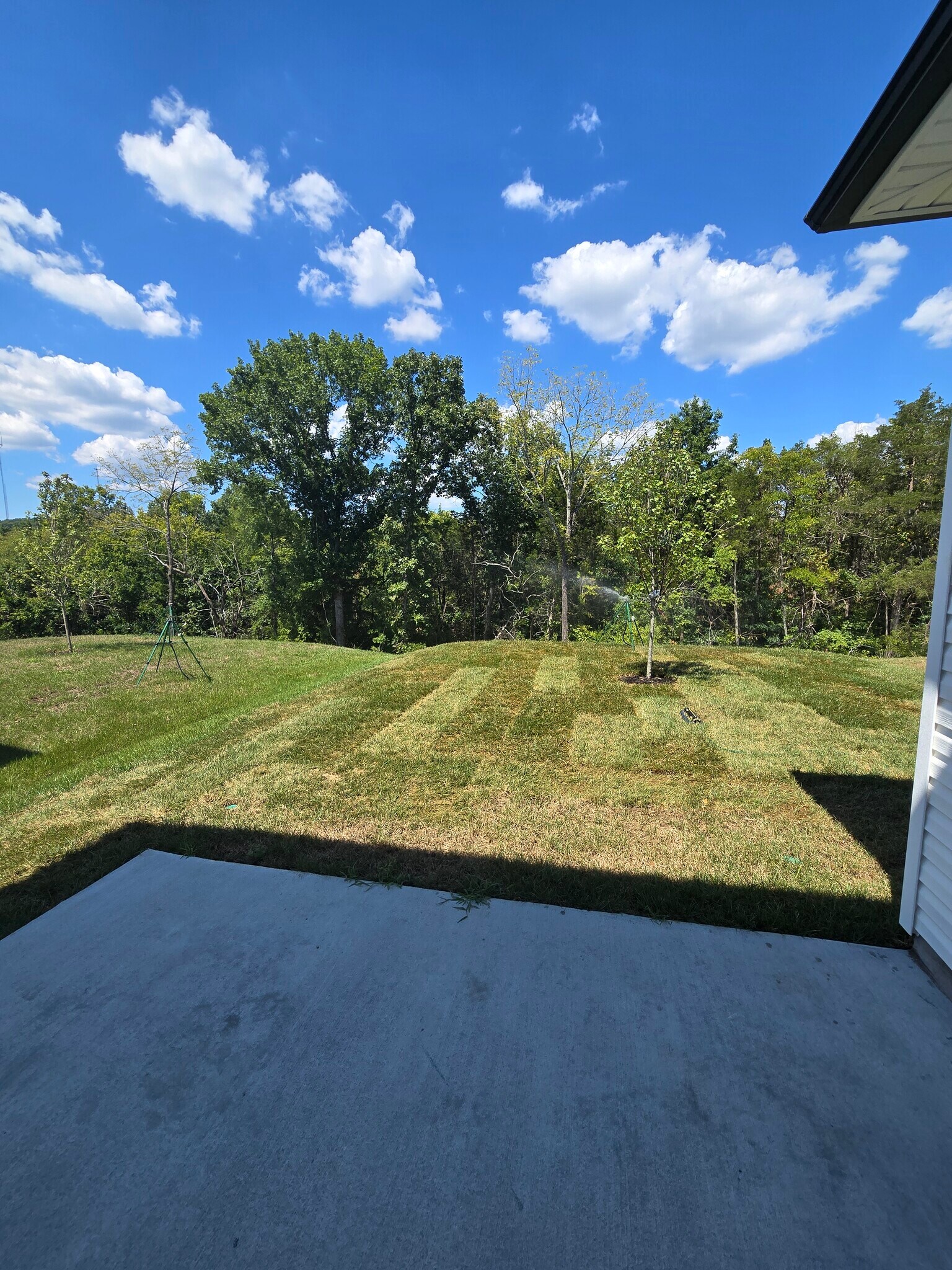 Rear yard with patio and wooded view for privacy - 3901 Northbrook Dr