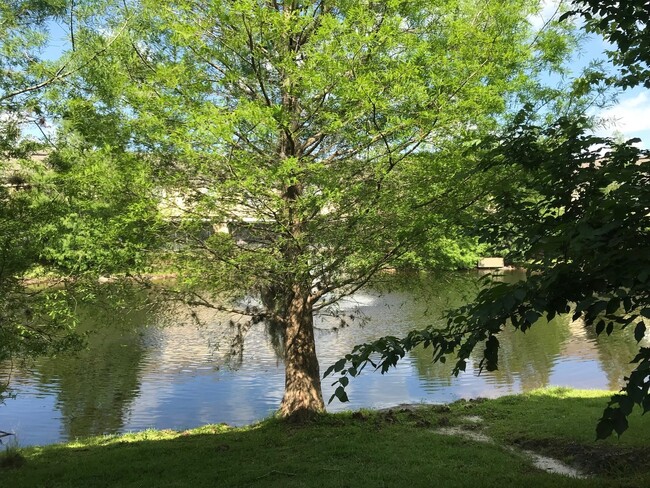 Building Photo - 629 Pinebranch Cir