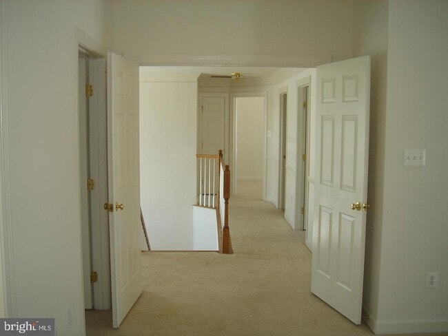 Building Photo - 11017 Baldwin Dr