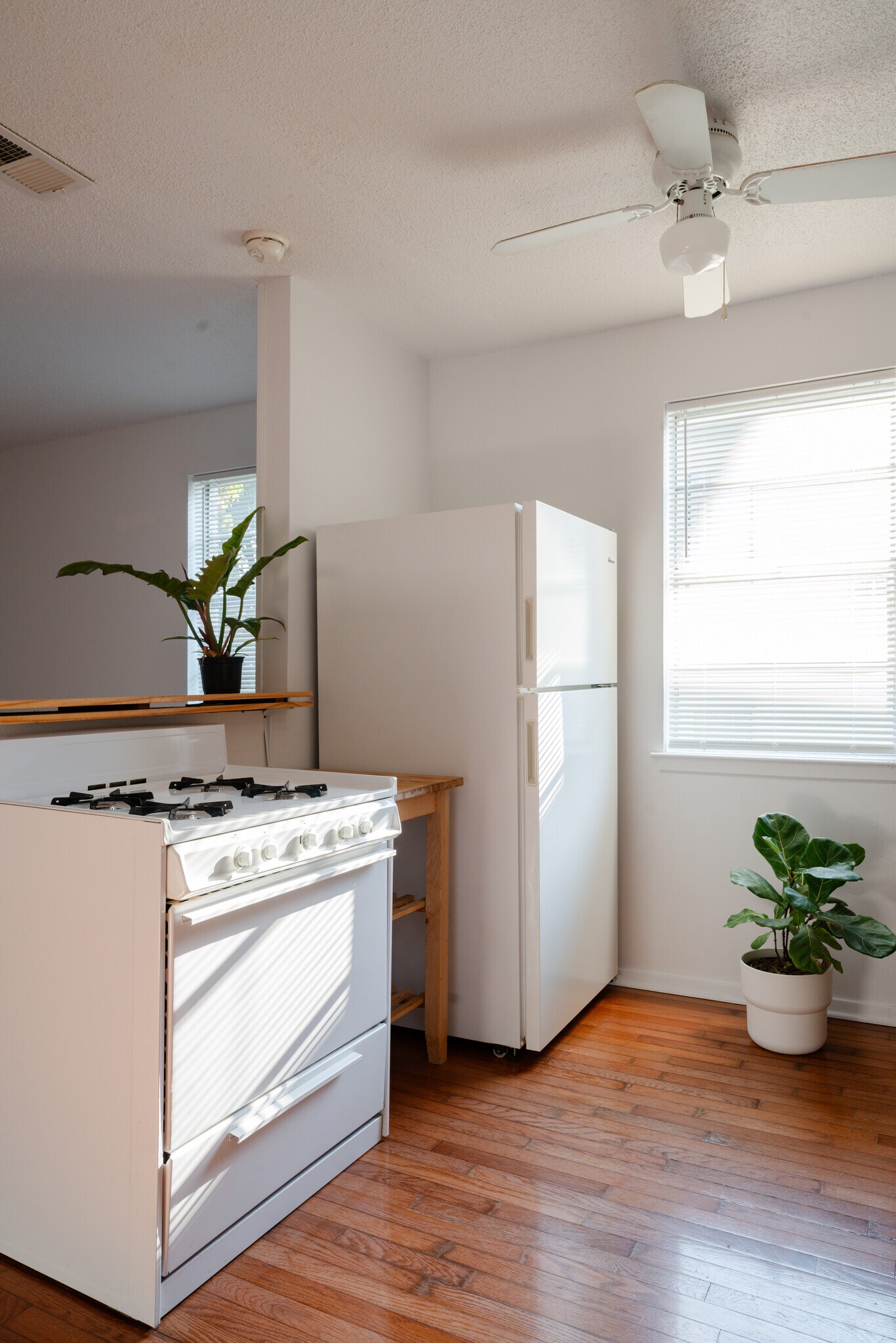 Building Photo - 1337 Vinton Ave