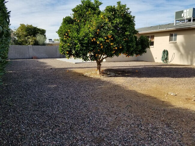 Building Photo - BEAUTIFUL 2 BEDROOM IN DREAMLAND VILLAS 55...