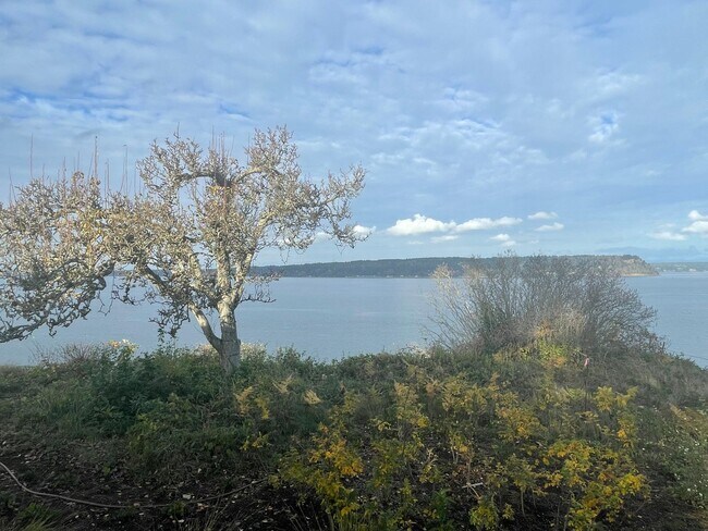 Building Photo - Spectacular View Home In Langley and Fully Furnished!