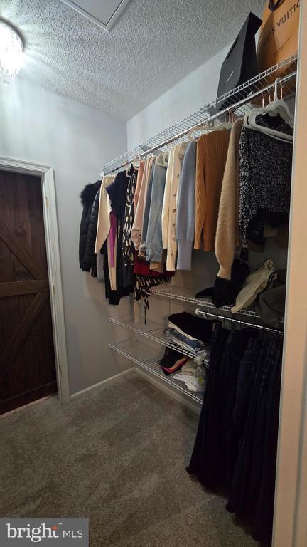 Building Photo - 14314 Climbing Rose Way