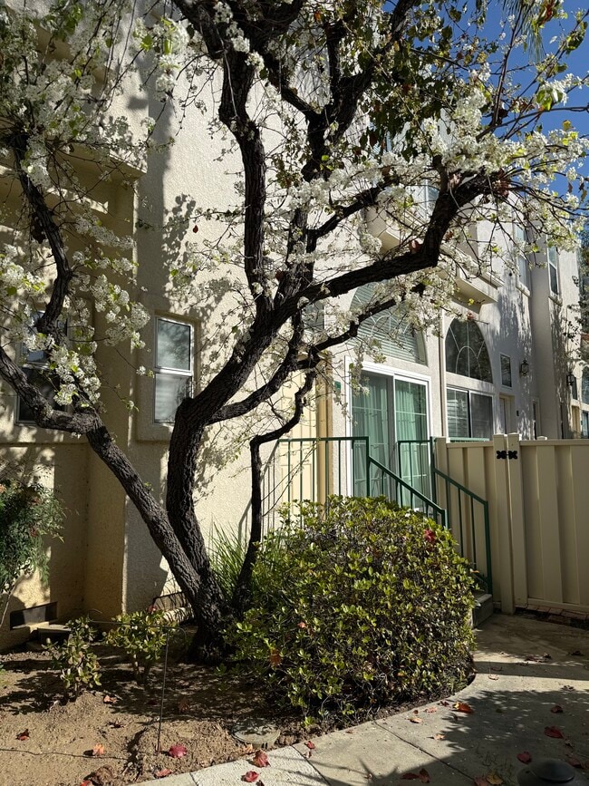 Building Photo - 5455 Sylmar Ave