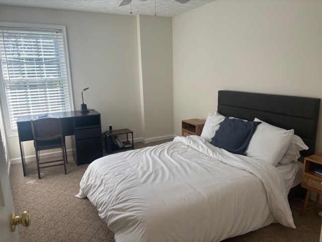 Lower level bedroom 5 - 1110 Tolleys Ln
