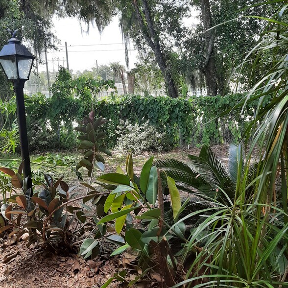 TROPICAL PARADISE OUT BACK - 906 Hartford Dr