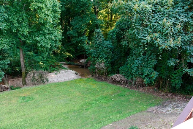 Backyard - 2927 Arbor Creek Ln